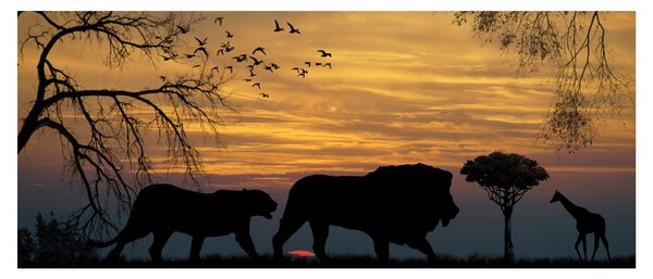 Safari képe (120x50 cm)