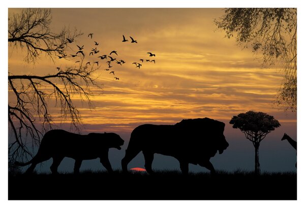 Safari képe (90x60 cm)