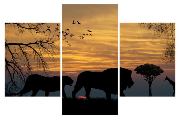 Safari képe (90x60 cm)