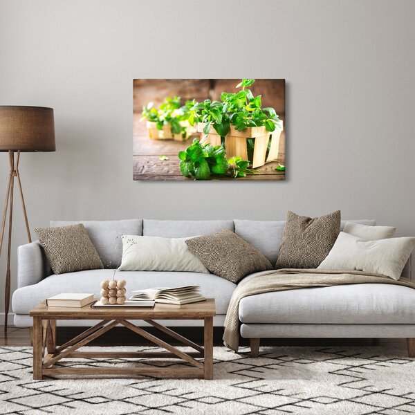 Friss menta képe (90x60 cm)