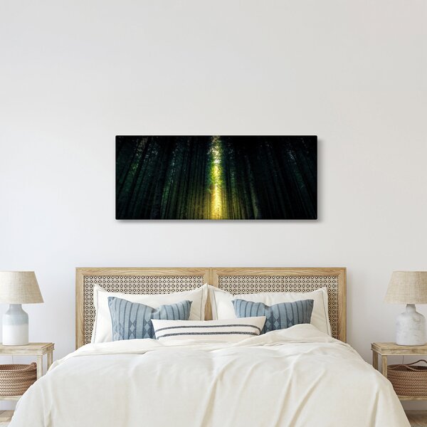 Sötét erdő képe (120x50 cm)