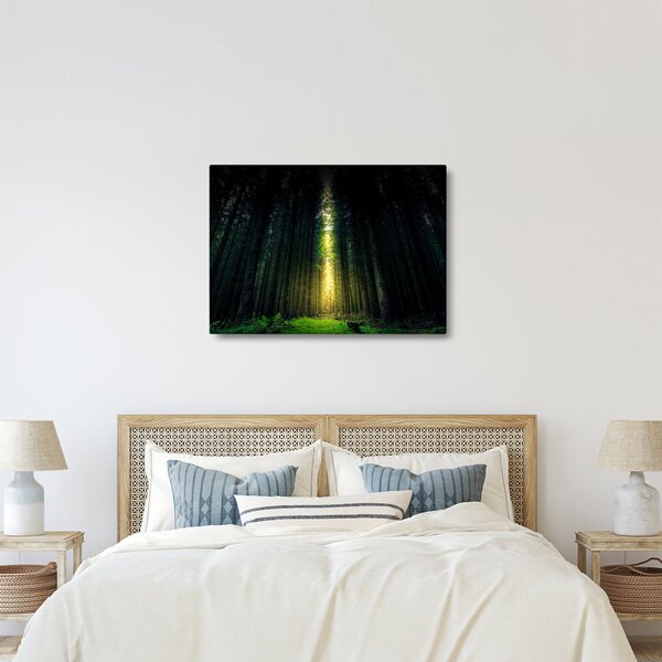 Sötét erdő képe (70x50 cm)