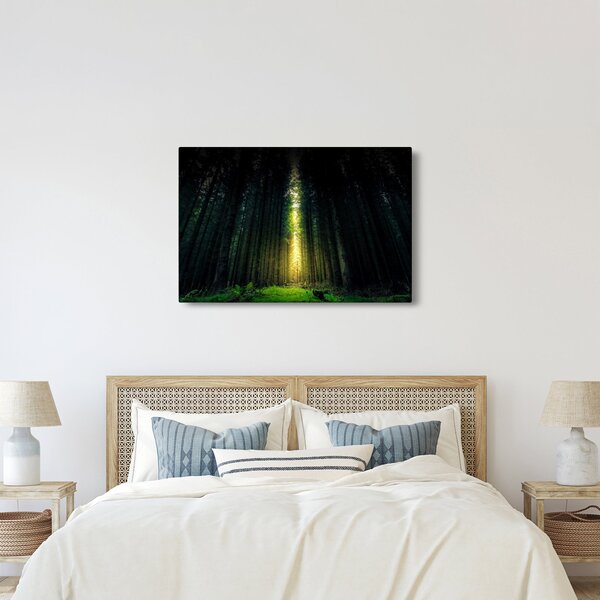 Sötét erdő képe (90x60 cm)