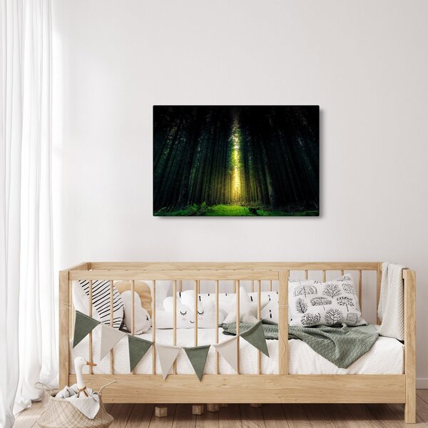 Sötét erdő képe (90x60 cm)