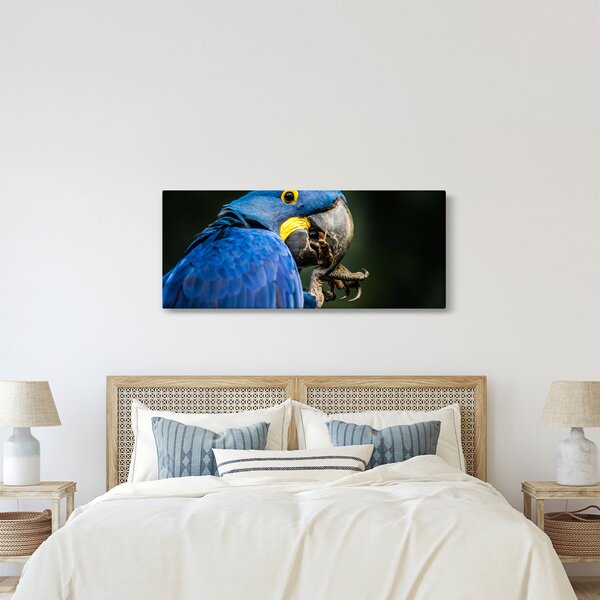 Papagáj képe (120x50 cm)