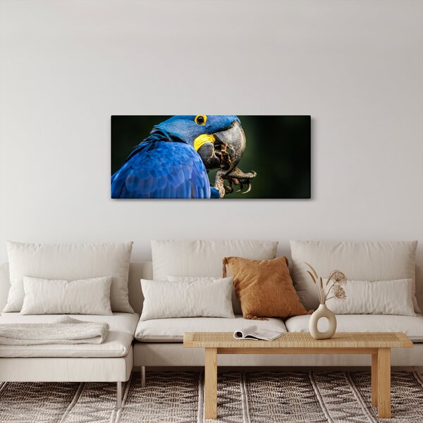 Papagáj képe (120x50 cm)