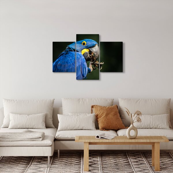 Papagáj képe (90x60 cm)