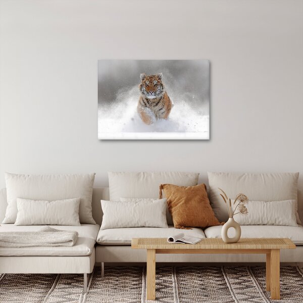 Futó tigris a hóban képe (70x50 cm)