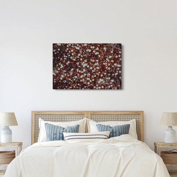 Erdei nefelejcs virág képe (90x60 cm)
