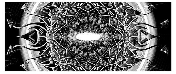 Fekete-fehér díszek képe (120x50 cm)