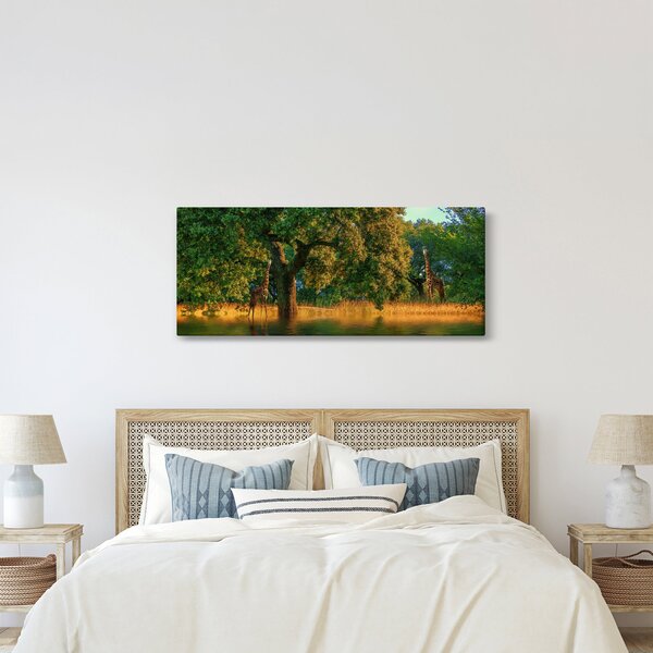 Zsiráf a természetben képe (120x50 cm)