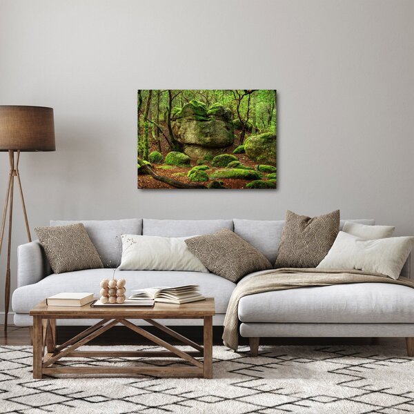 Egy varázslatos erdő képe (70x50 cm)