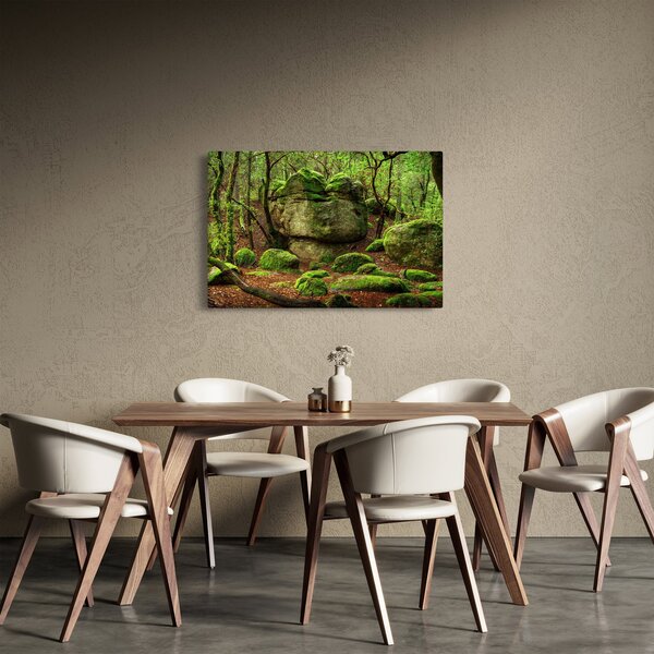 Egy varázslatos erdő képe (90x60 cm)