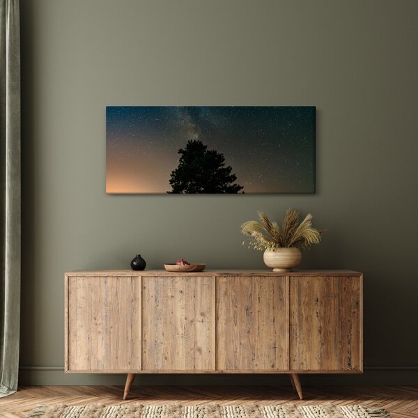Egy éjszakai égbolt fákkal képe (120x50 cm)