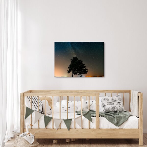 Egy éjszakai égbolt fákkal képe (70x50 cm)