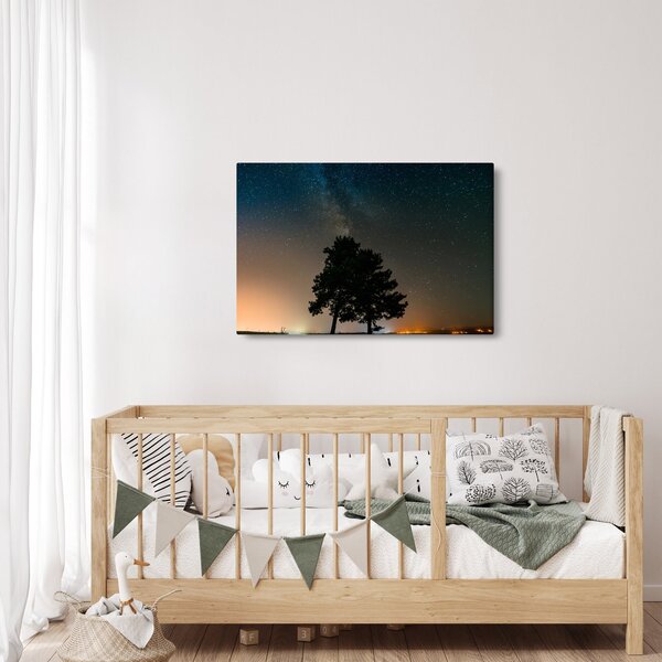 Egy éjszakai égbolt fákkal képe (90x60 cm)