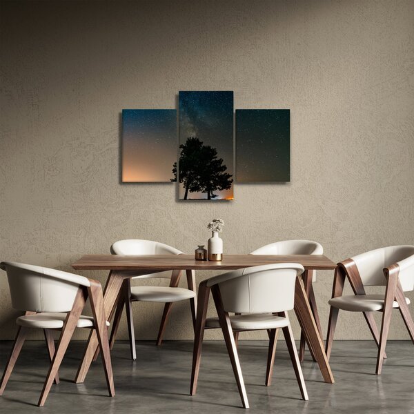 Egy éjszakai égbolt fákkal képe (90x60 cm)