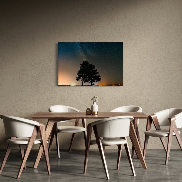 Egy éjszakai égbolt fákkal képe (90x60 cm)