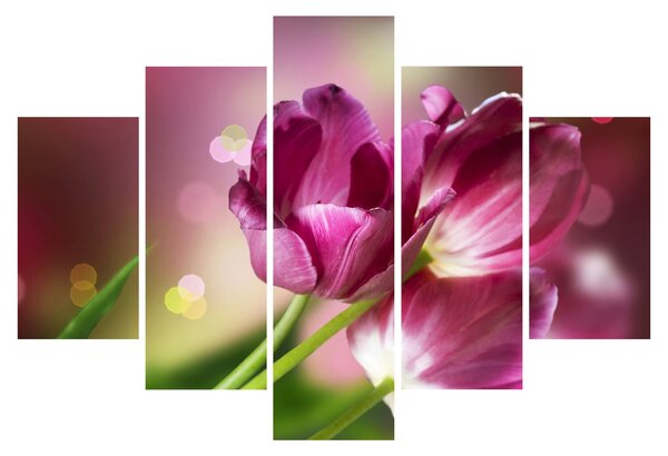Rózsaszín tulipánok képe (150x105 cm)