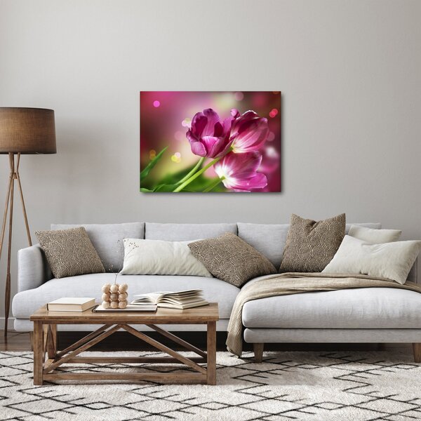 Rózsaszín tulipánok képe (70x50 cm)