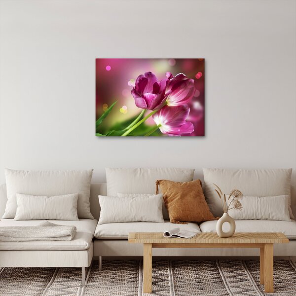 Rózsaszín tulipánok képe (70x50 cm)