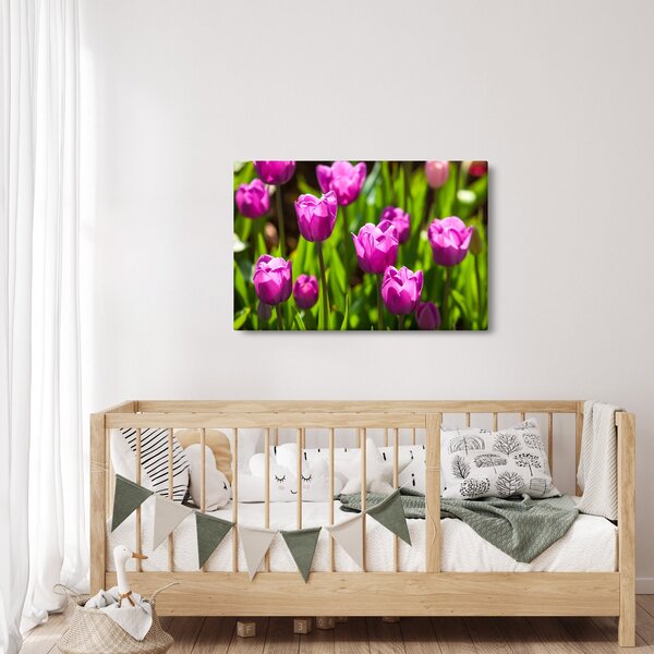 Tulipánok a réten képe (90x60 cm)