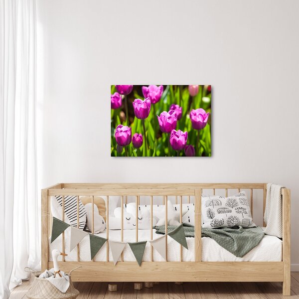 Tulipánok a réten képe (70x50 cm)