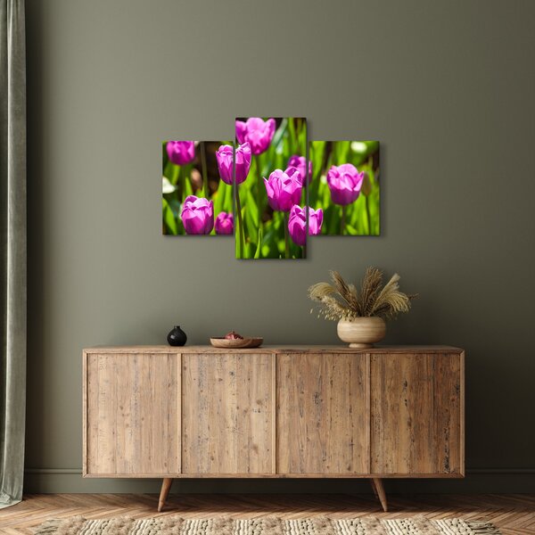 Tulipánok a réten képe (90x60 cm)