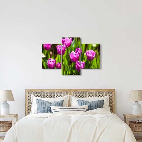 Tulipánok a réten képe (90x60 cm)