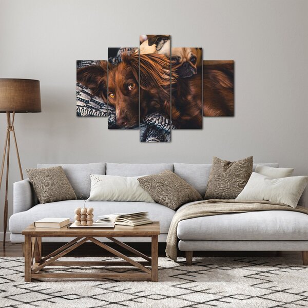 Egy kép fekvő kutyákról (150x105 cm)