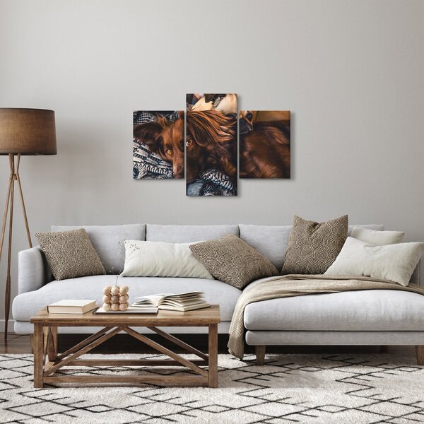 Egy kép fekvő kutyákról (90x60 cm)