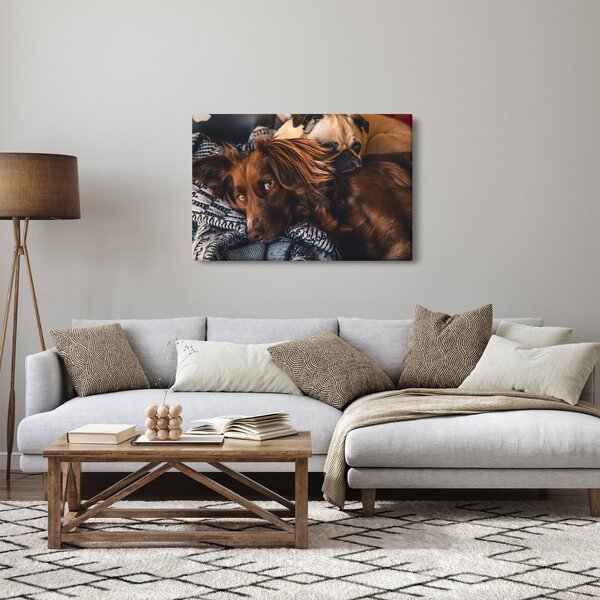 Egy kép fekvő kutyákról (90x60 cm)