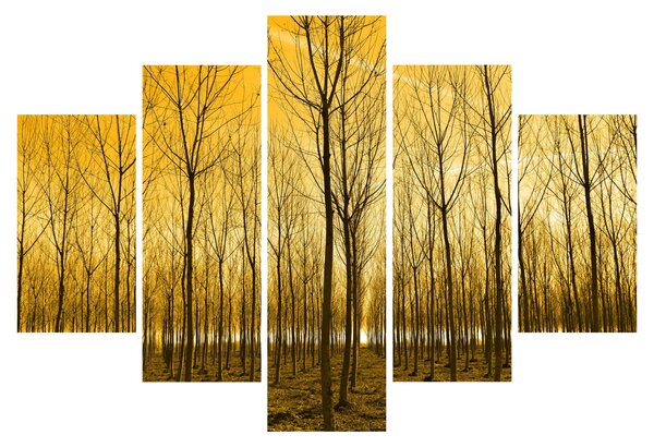 Kép - Faültetvény (150x105 cm)
