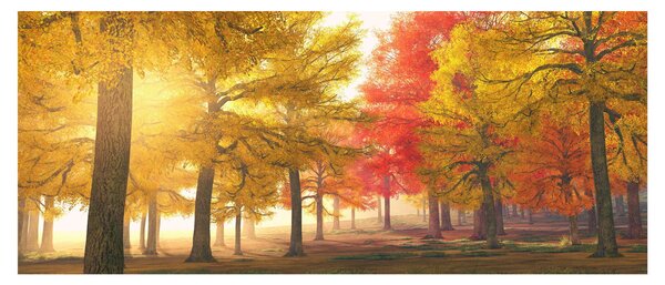 Őszi fák képe (120x50 cm)