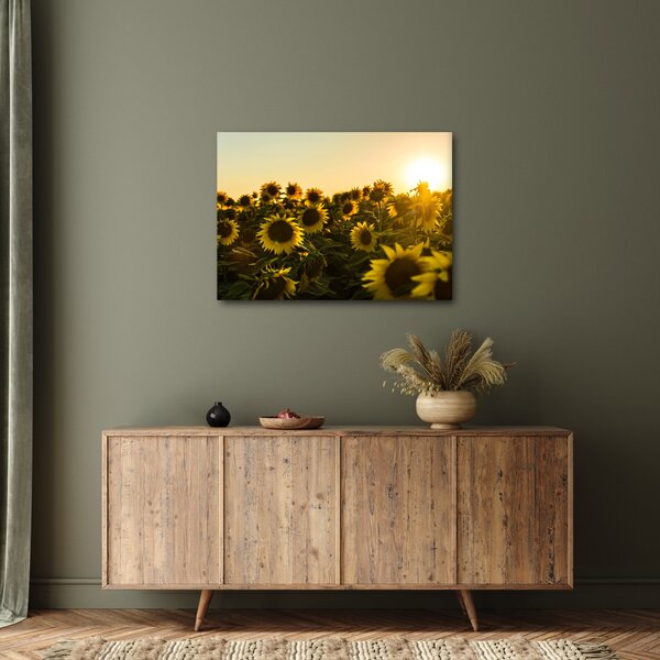 A napraforgó mező képe (70x50 cm)