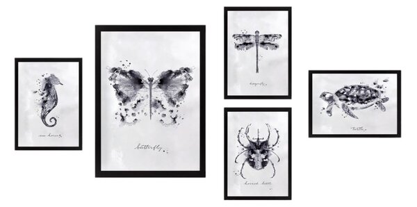 Kép szett 5 db-os Butterfly – Wallity