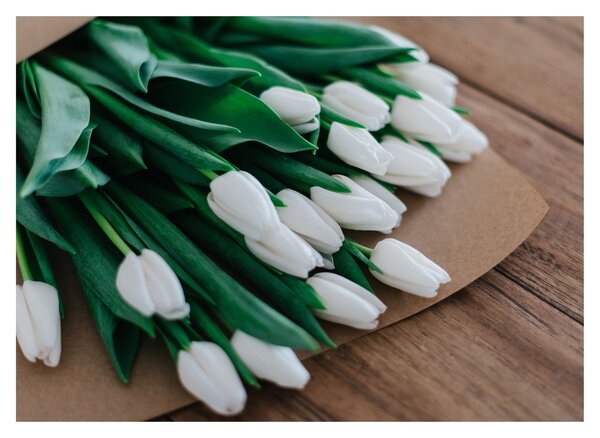 Egy csokor fehér tulipán képe (70x50 cm)
