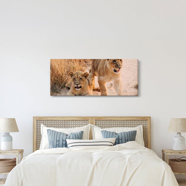 Kép - Kölyök oroszlánok (120x50 cm)
