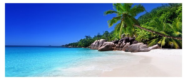 Kép a strandról a Praslin szigeten (120x50 cm)