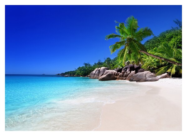 Kép a strandról a Praslin szigeten (70x50 cm)