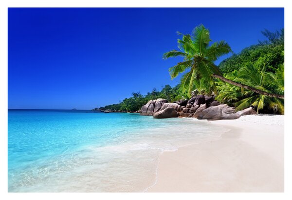 Kép a strandról a Praslin szigeten (90x60 cm)