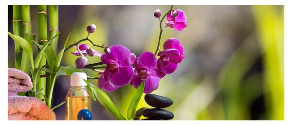 Kép - spa and stones (120x50 cm)
