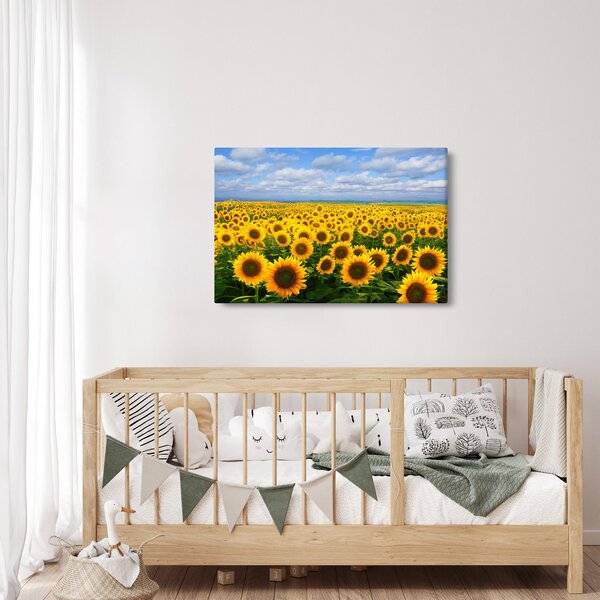 A napraforgó mező képe (90x60 cm)