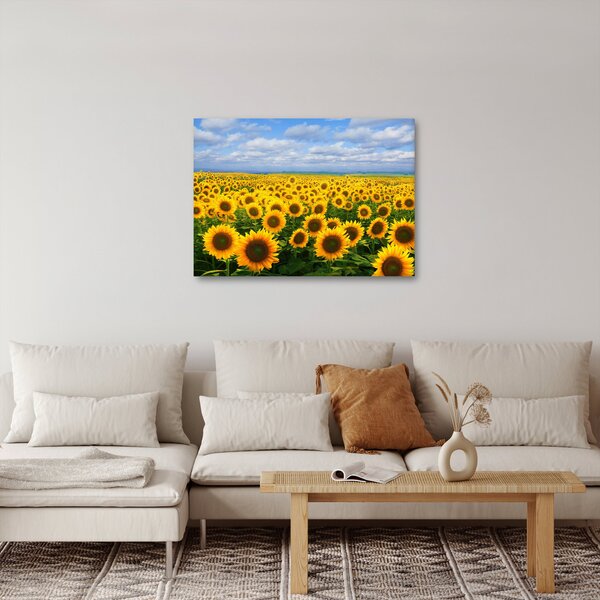 A napraforgó mező képe (70x50 cm)