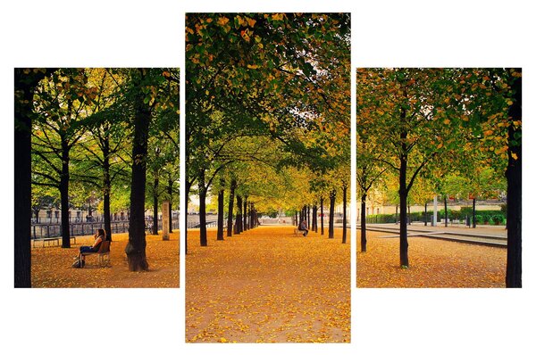 Egy kép az őszi fák sikátorából (90x60 cm)