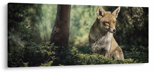Róka képe (120x50 cm)