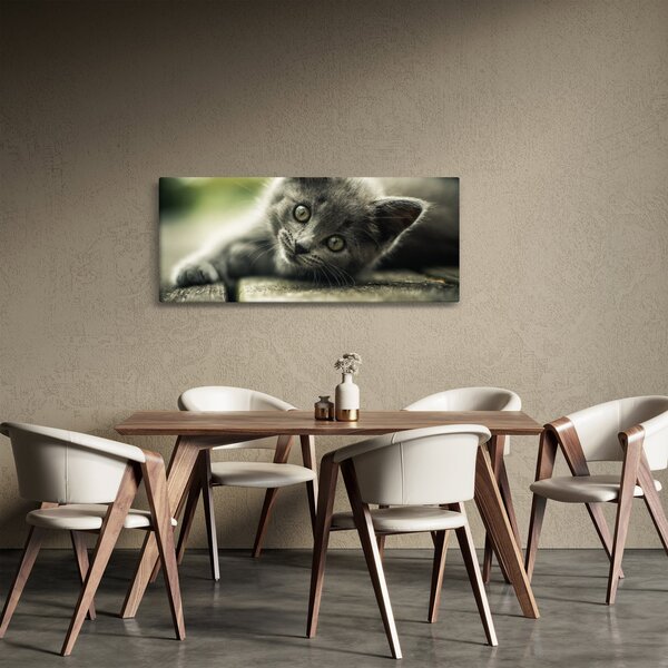 Cica képe (120x50 cm)