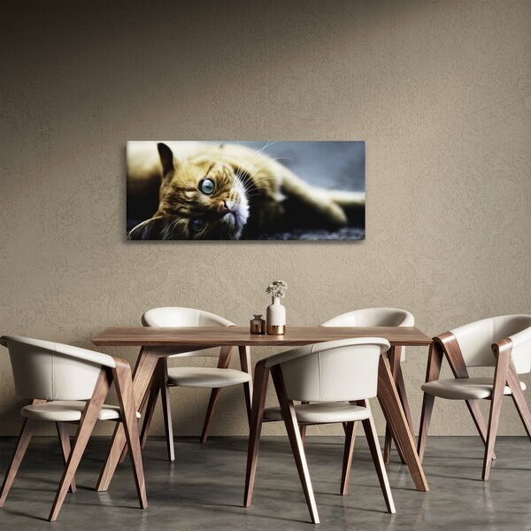 Macska képe (120x50 cm)