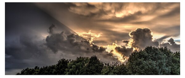 A felhők és az erdő képe (120x50 cm)