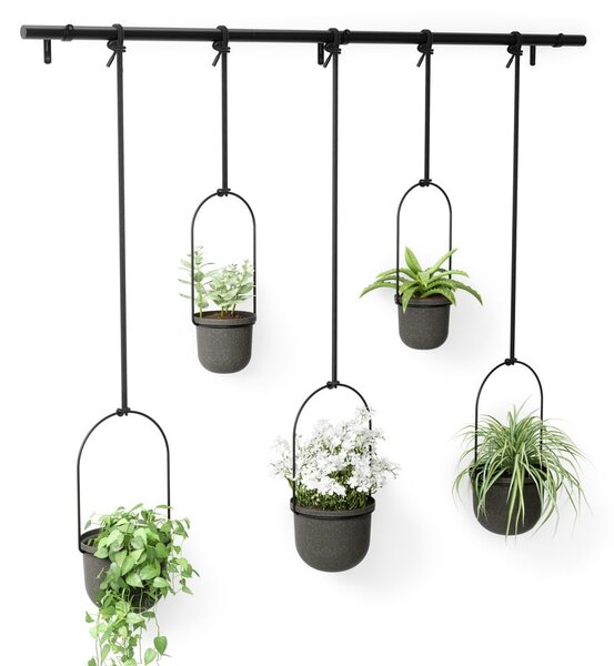 Műanyag kaspó szett 5 db-os fűszernövényekhez -függő ø 7,5 cm Triflora – Umbra